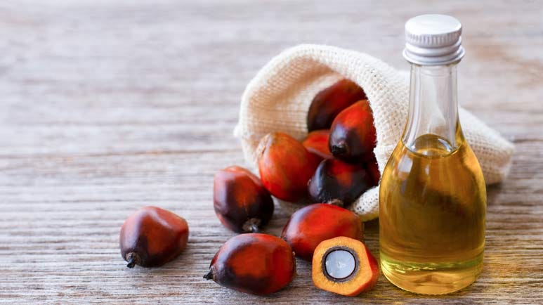 indonesia palm oil export ban