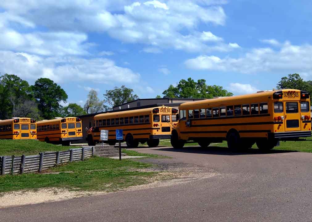 Busses line up in Arizona, loaded with kindergarteners, ready to count.
