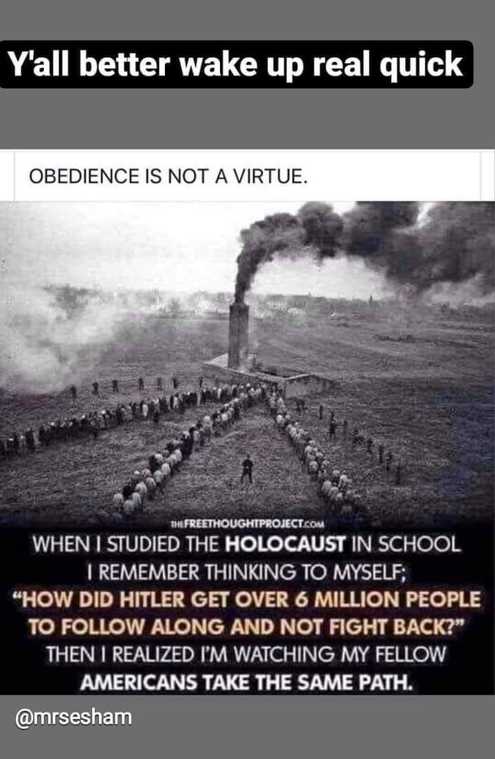 May be an image of text that says 'Y'all better wake up real quick OBEDIENCE IS NOT A VIRTUE. FREETHOUGHTPROJECT COM WHEN STUDIED THE HOLOCAUST IN SCHOOL REMEMBER THINKING TO MYSELF; "HOW DID HITLER GET OVER 6 MILLION PEOPLE TO FOLLOW ALONG AND NOT FIGHT BACK?" THEN REALIZED I'M WATCHING MY FELLOW AMERICANS TAKE THE SAME PATH. @mrsesham'