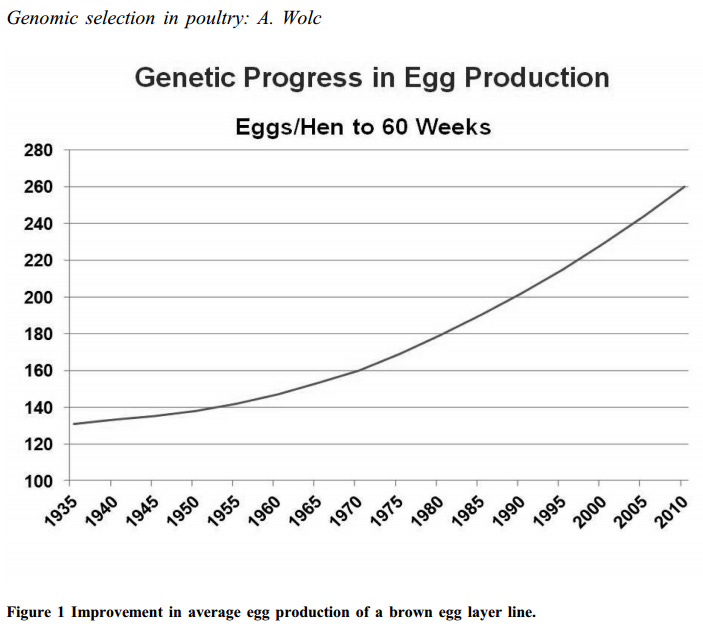 selection for eggs