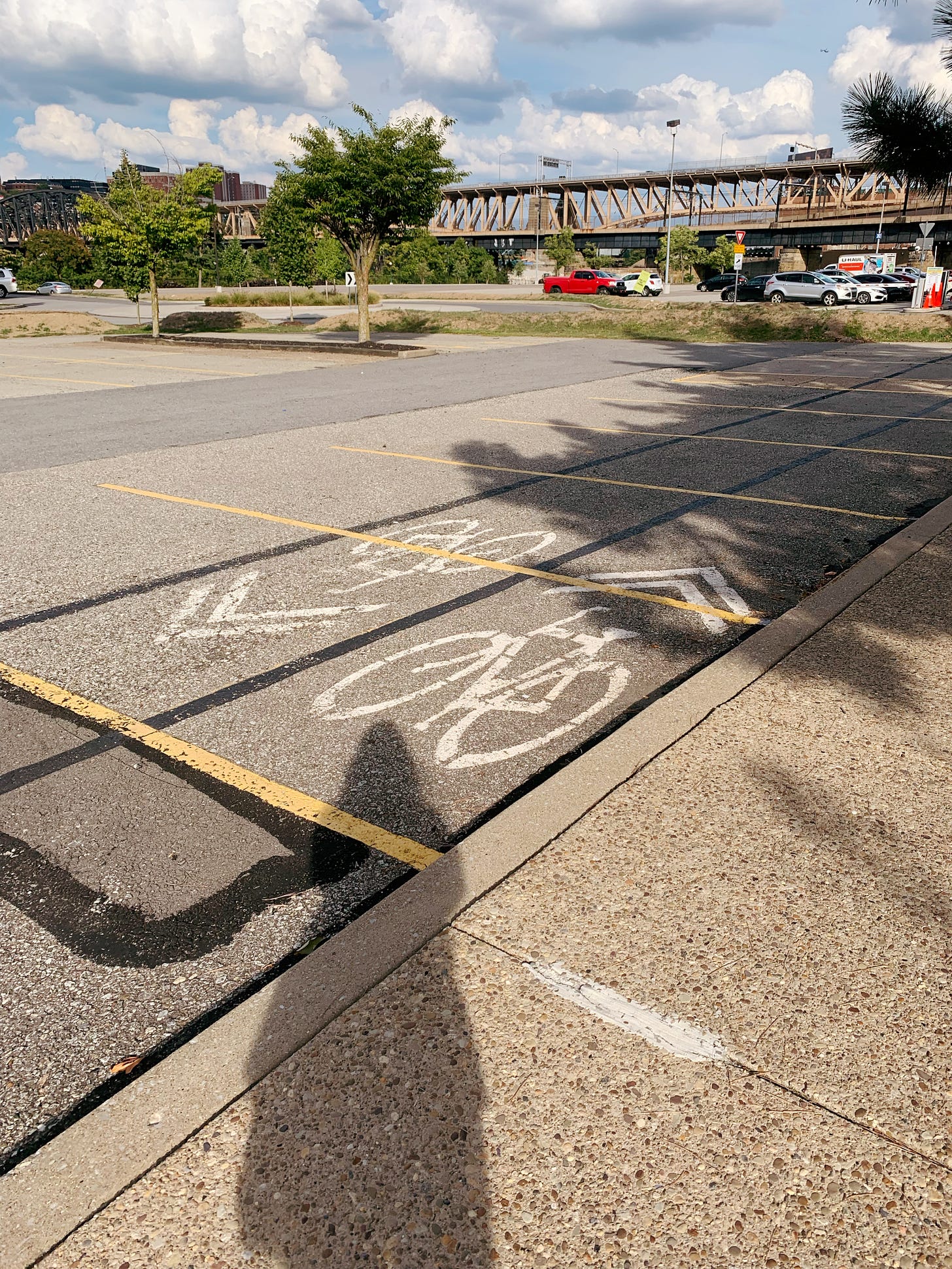 Bikelane signs painted on parking spots, somewhat confusing setup