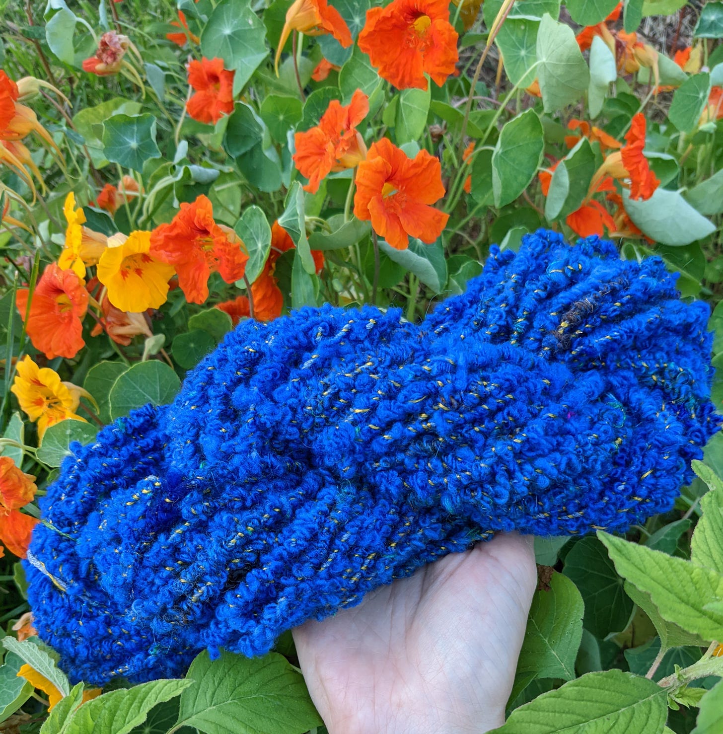 A skein of blue boucle yarn photographed in a bed of orange and yellow nasturtiums