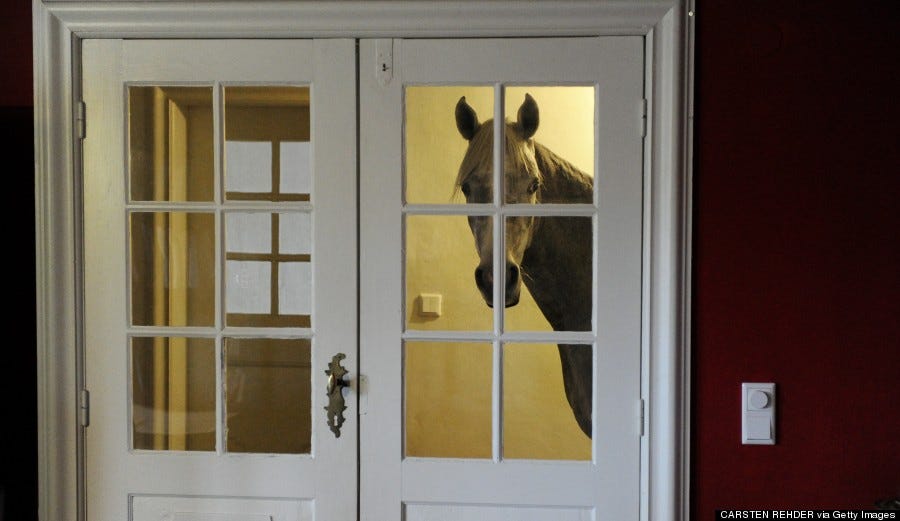 Horse Lives In House Like A Normal Person (PHOTOS) | HuffPost