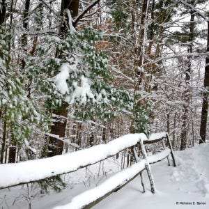 Photo of a snow-covered wooden fence and trees in New Marlborough, MA.
