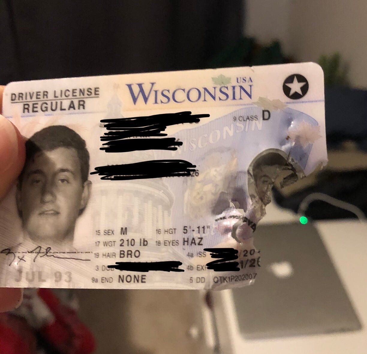 dog ate my ID