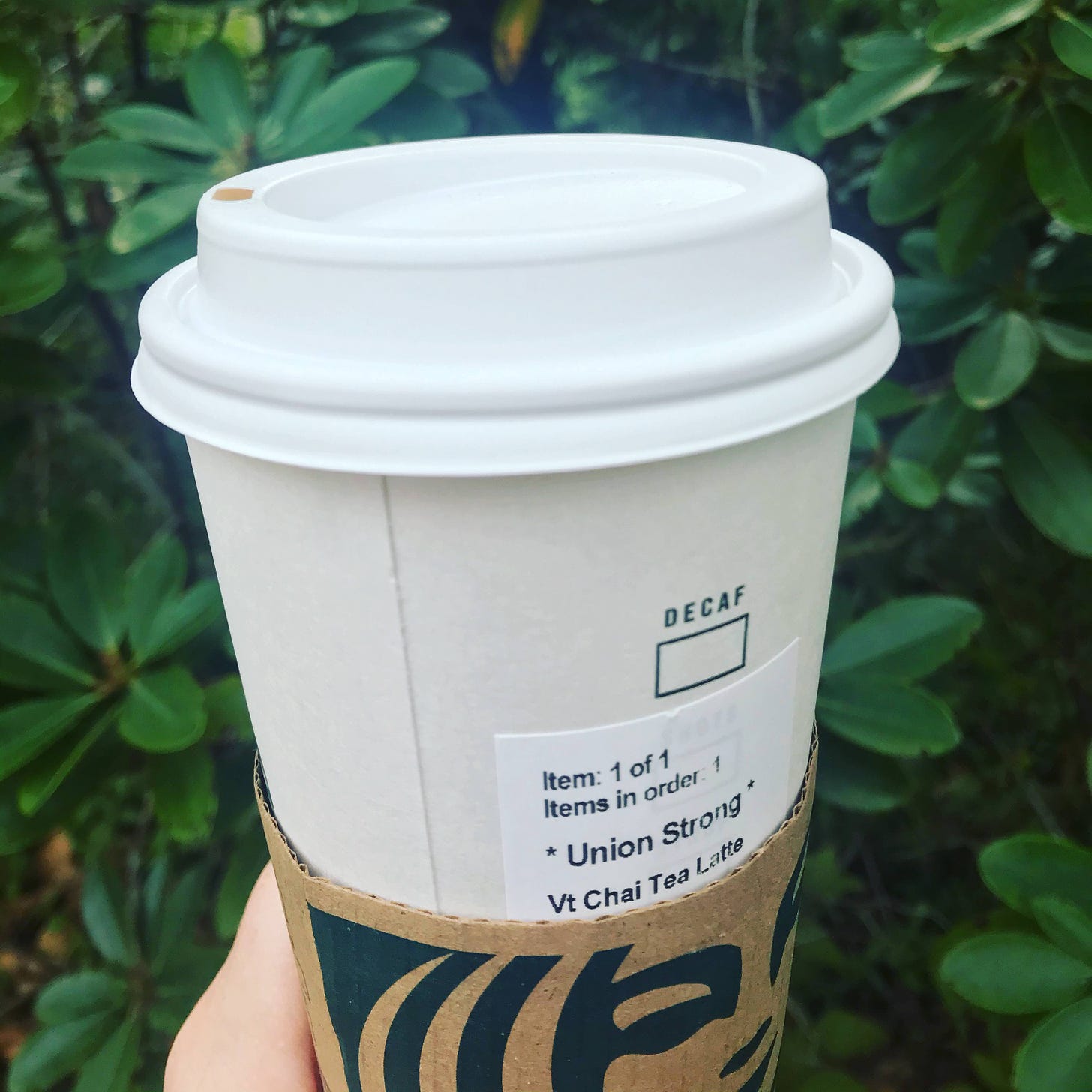Starbucks coffee cup in front of dark green leaves. The label where the customer name goes reads Union Strong.
