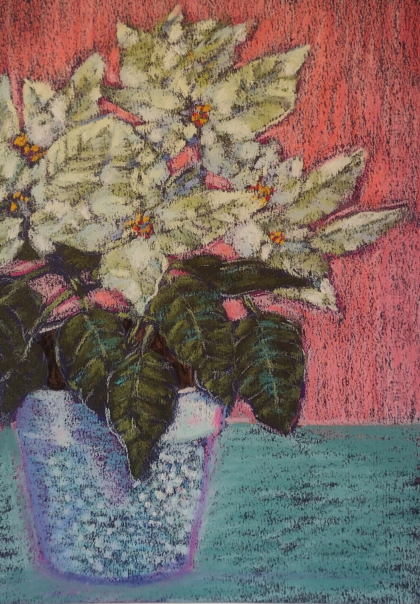 Poinsettia illustration