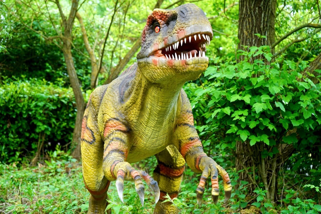 Free T-rex Dinosaur Statue Stock Photo