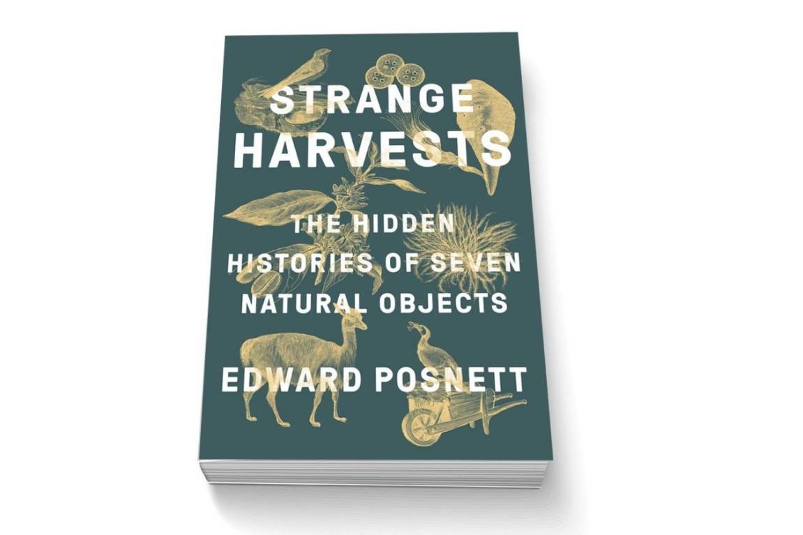 Book review: Strange Harvests by Edward Posnett | Stuff.co.nz