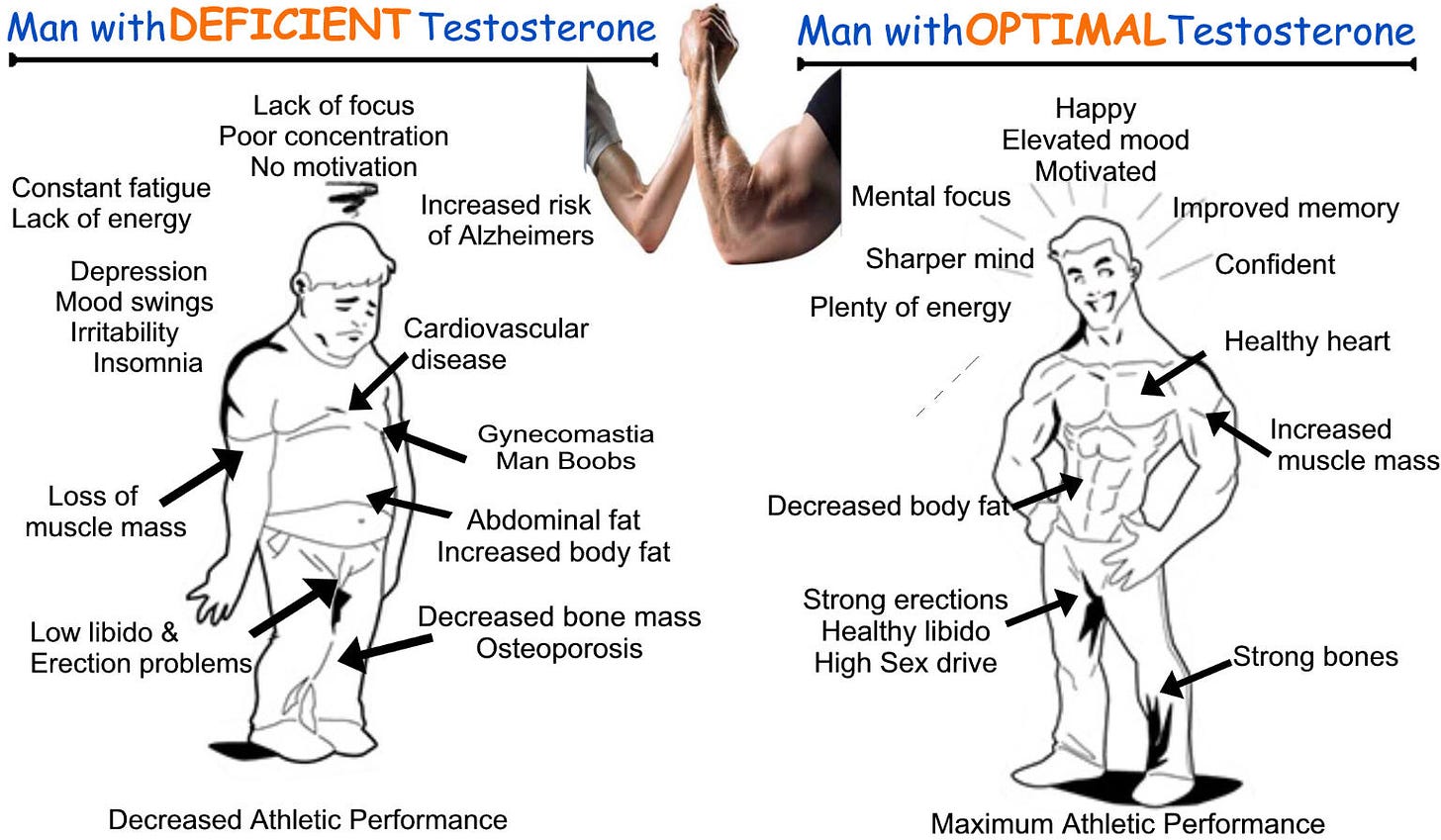 Levels of testosterone as per age - Why this hormone is essential in ...
