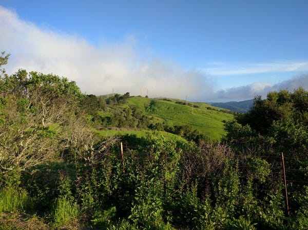 This is Inspiration Point in Berkeley. My running club and I did a sunrise run last Sunday.