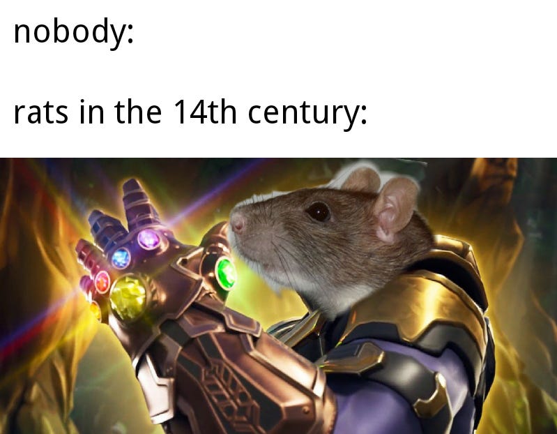 Those dang rats : memes