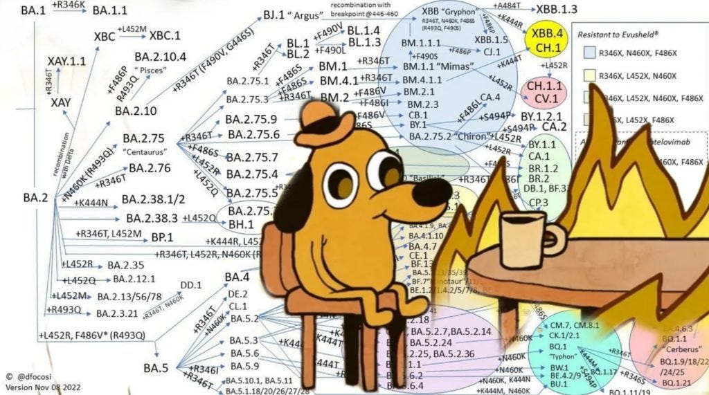  “This is fine dog” removed from his house, but remains at his table enjoying coffee. Flames surround the table. He is superimposed over an evolutionary flow chart starting with SARS-CoV-2 variant BA.2 before fracturing off in to an overwhelming number of branches, sub branches, and iterative branches demonstrating a complexity I don’t know how to convey in alt text. There are too many evolutionary branches. 