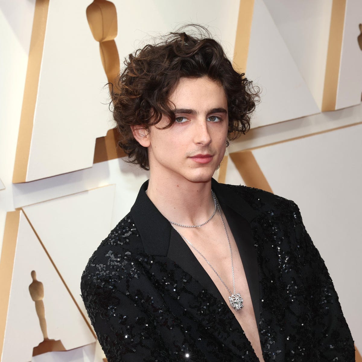 Chest in show: Timothée Chalamet gives 2022's Oscar red carpet its biggest  fashion moment | Oscars 2022 | The Guardian