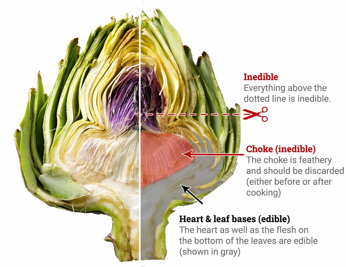Artichokes: Everything you need to know - Ask the Food Geek