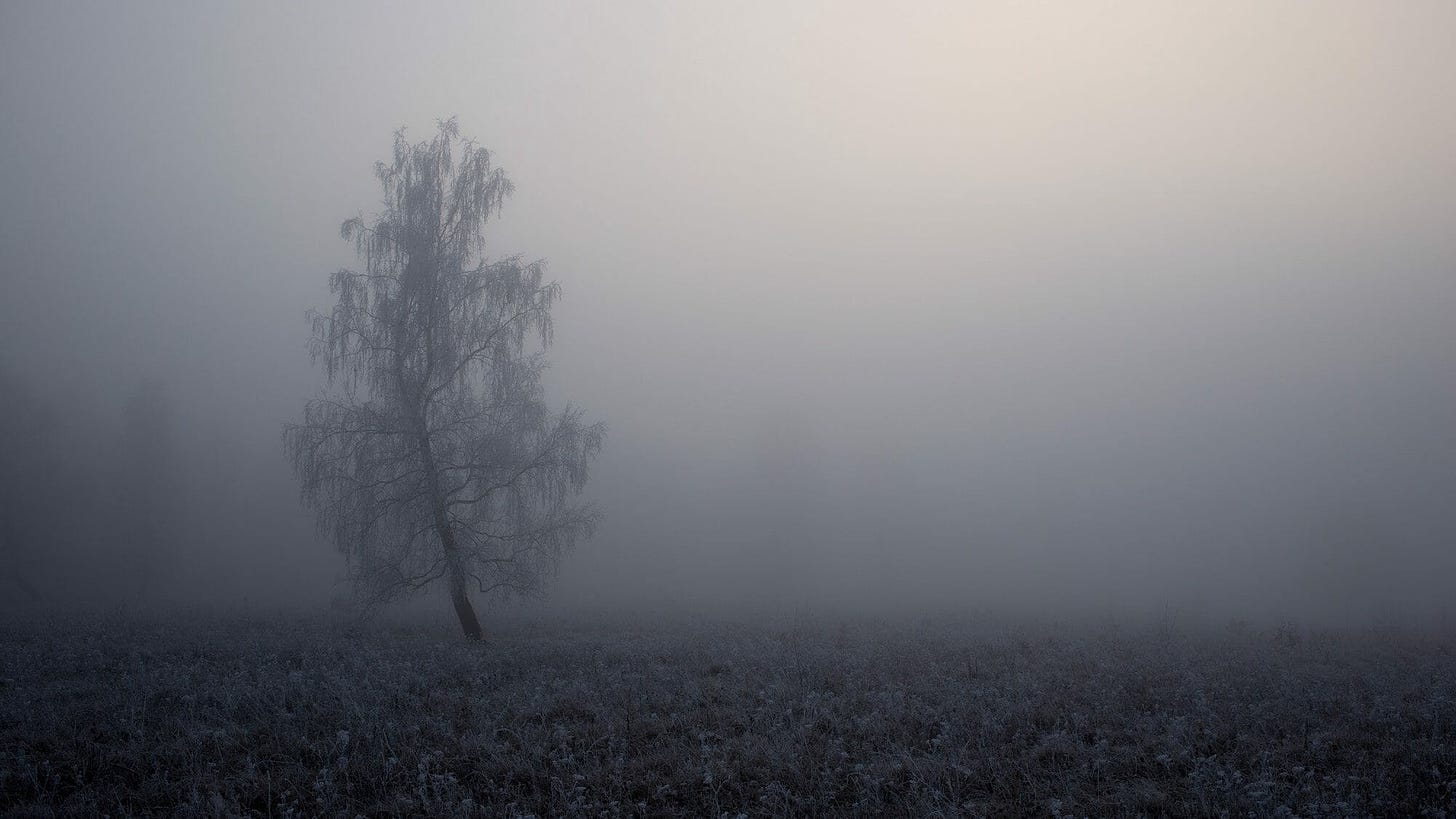 image of a tree in the mist for poem by Larry G. Maguire titled “The Hello Tree”