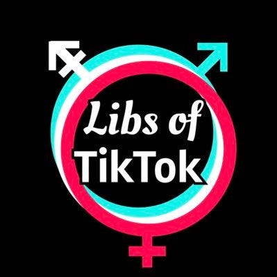 The planetary symbols for Mars and Venus in cyan and magenta respectively, in homage of TikTok's logo. In the center is the text Libs of (italicized) and TikTok.
