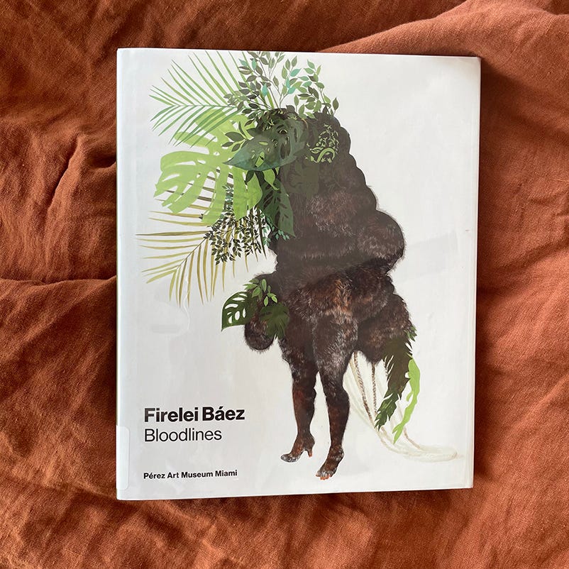 Photograph of the book Firelei Báez: Bloodlines on a terracotta colored quilt.