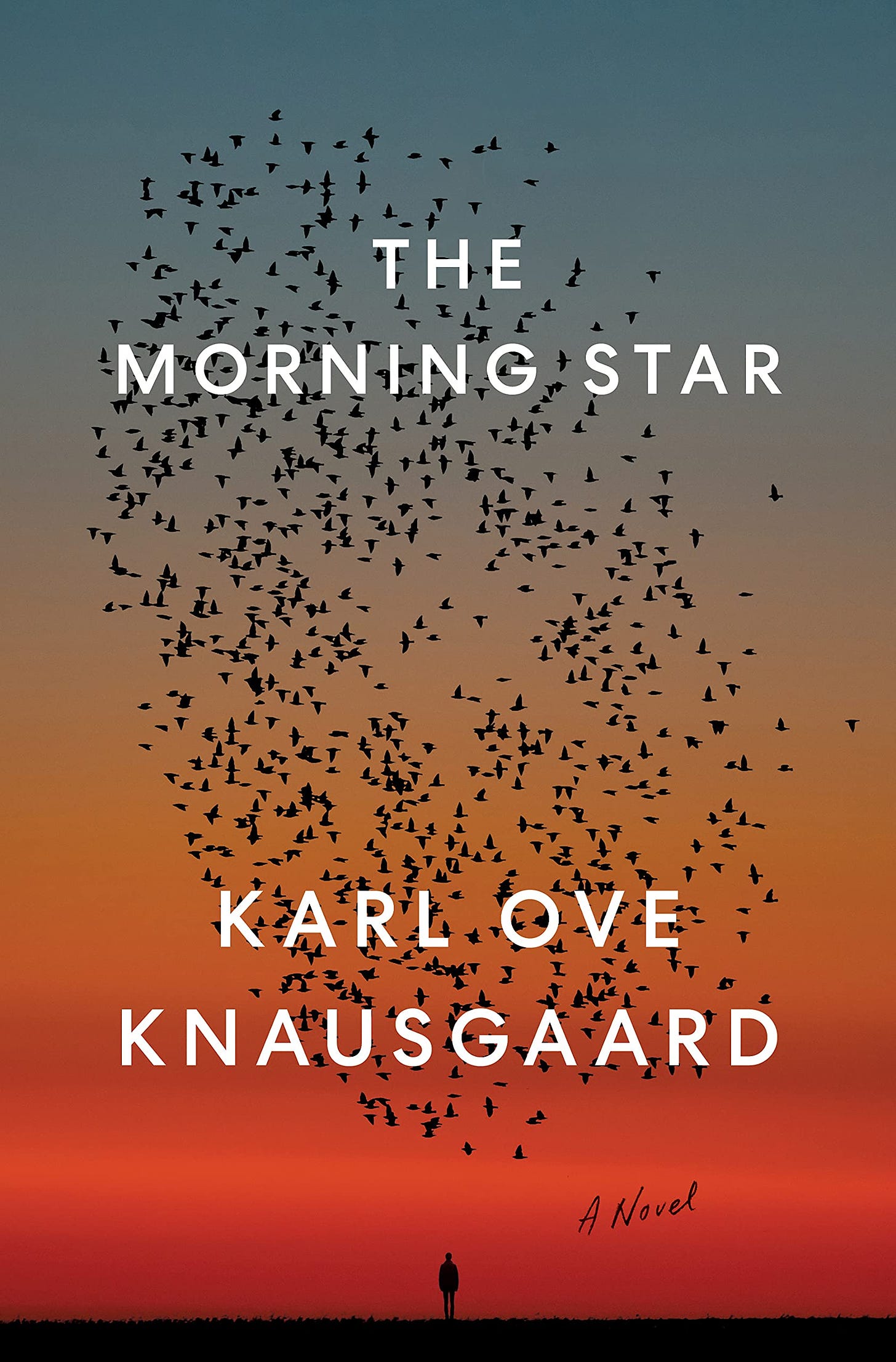 The Morning Star: A Novel: Knausgaard, Karl Ove, Aitken, Martin:  9780399563423: Amazon.com: Books