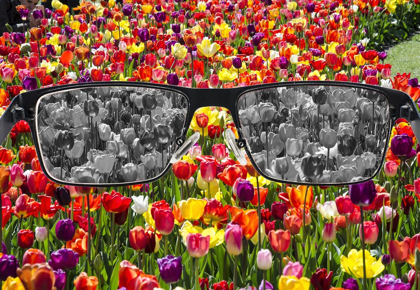 Glasses that turn colorful tulips into black-and-white. A commentary on perception.