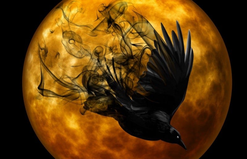 Magic smoky crow against full moon.