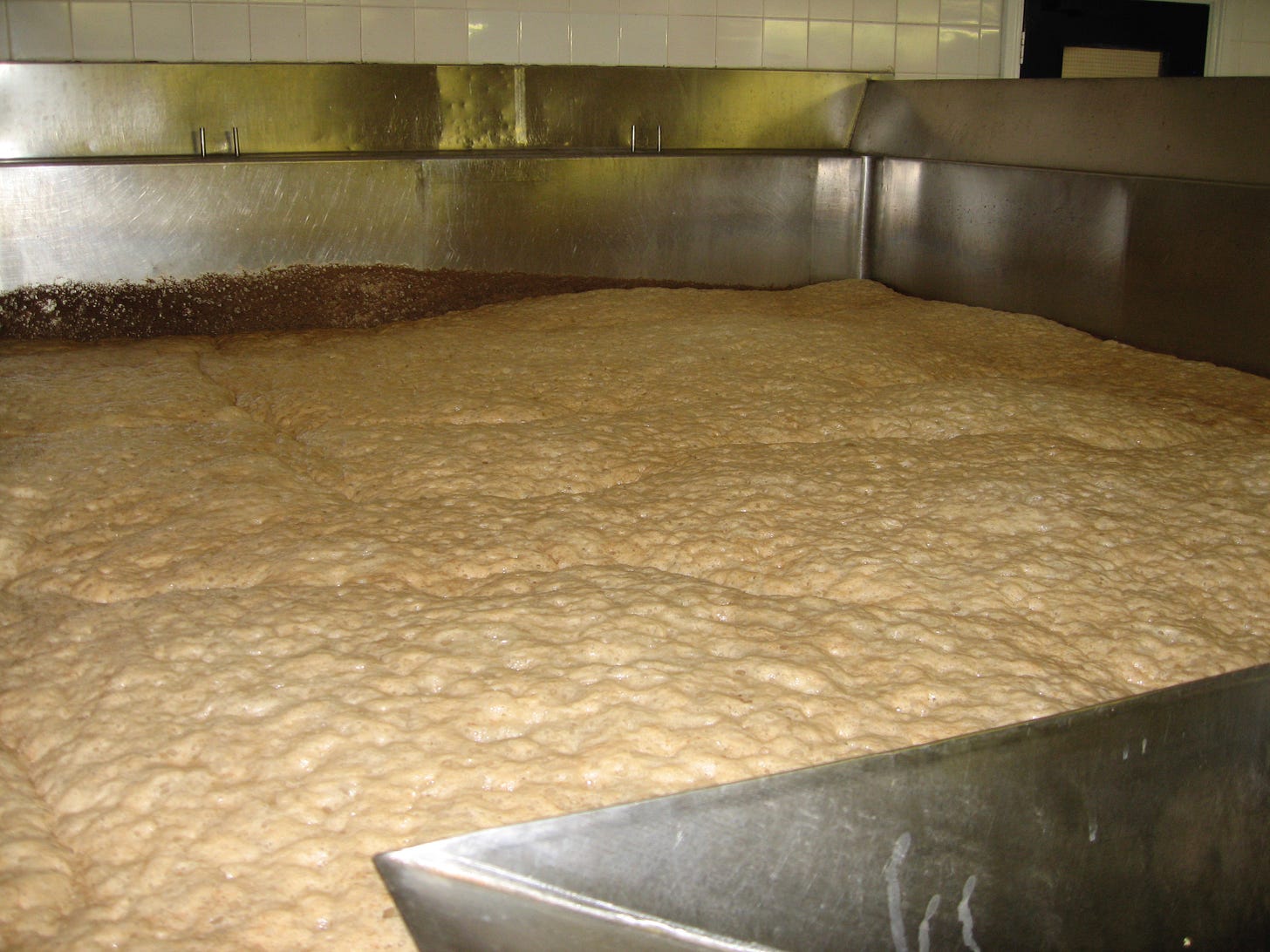 Fermenting beer at Wadworth Brewery Devizes
