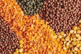 What to Cook with Lentils | Food & Wine