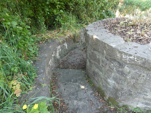 St. Colmcille's Well, Calliaghstown, Co. Meath, View down the steps.