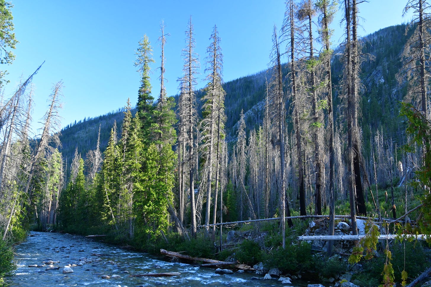 Entiat River