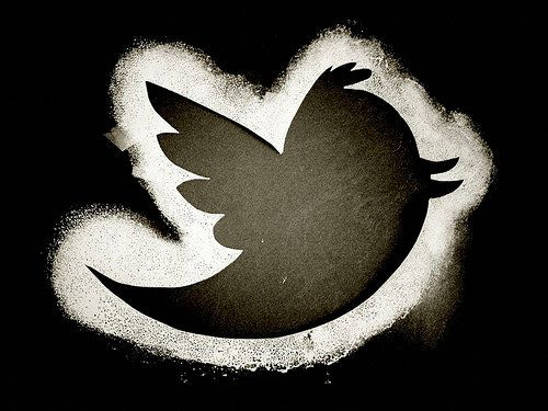 The Twitter Bird Has A Name | HuffPost Impact