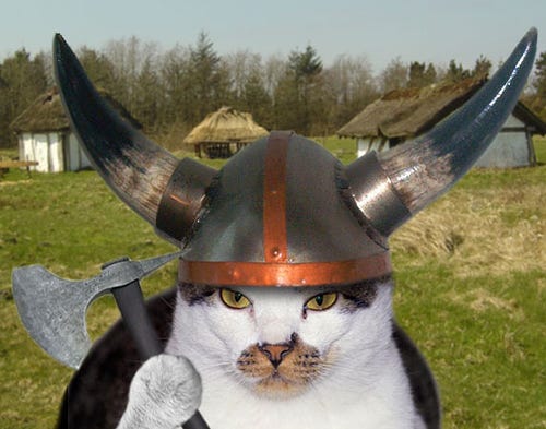 Viking Cats | TheDingleberry.wordpress.com