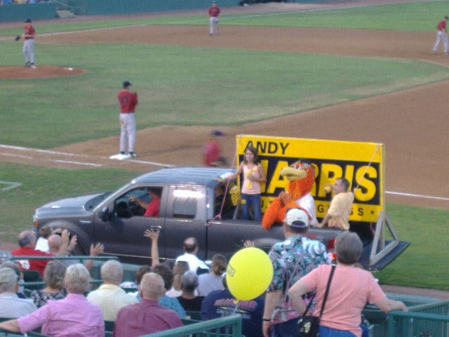 Even Sherman the Shorebird got into the Harris spirit. Can Shorebirds vote though?