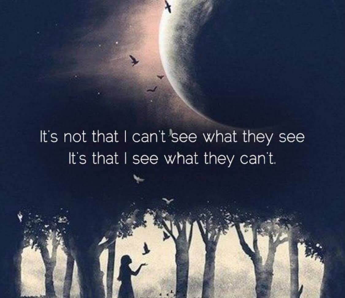 May be an image of text that says 'It's not that I can't see what they see It's that see what they can't.'