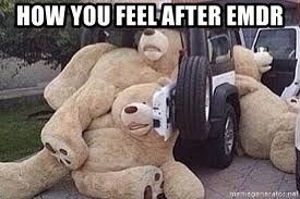 How you feel after EMDR - Exhausted bears | Super funny pictures, Funny  people pictures, New funny pics