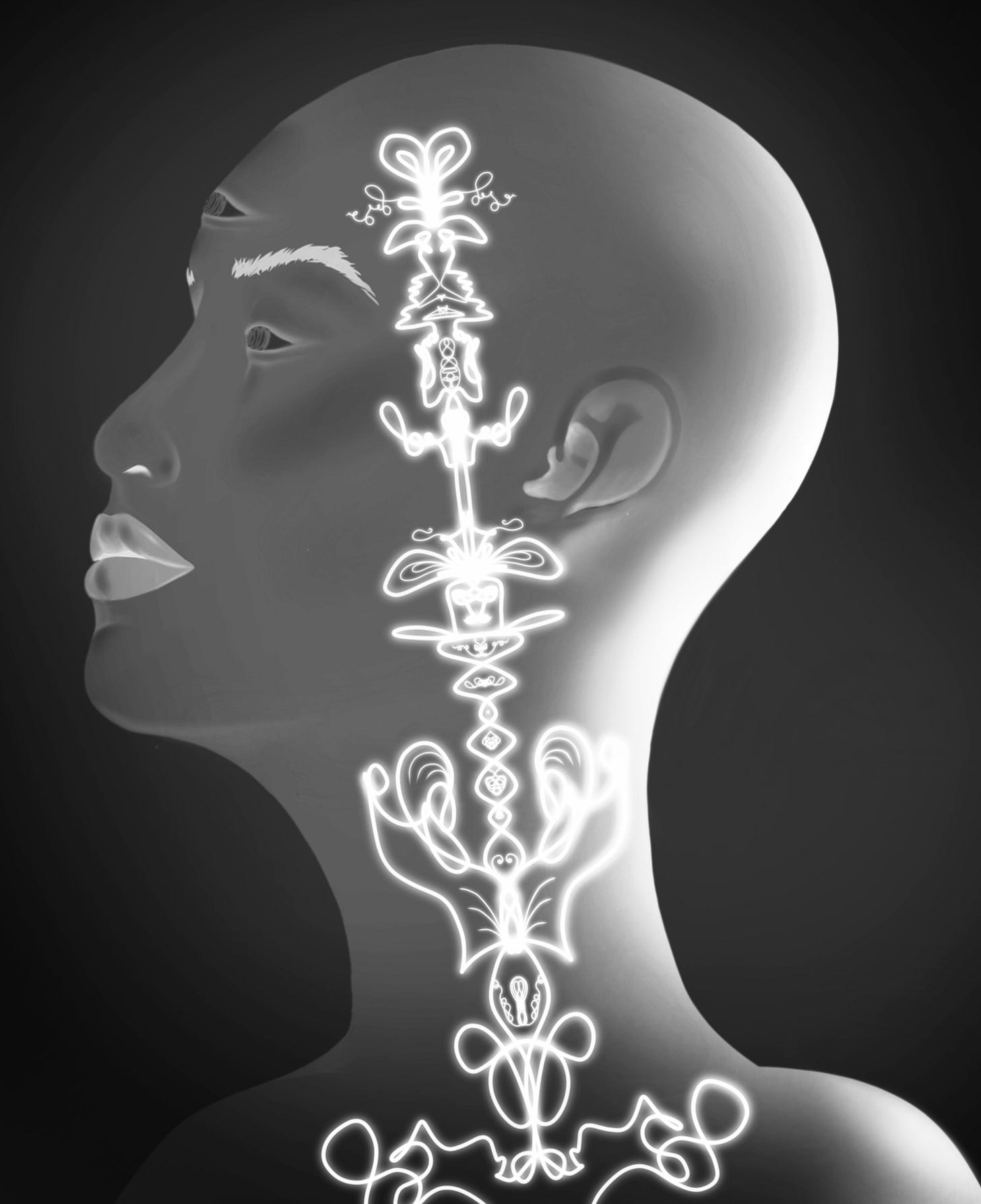 The Meditative Mind and Identifying Suffering