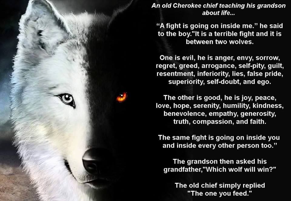 Image result for parable two wolves