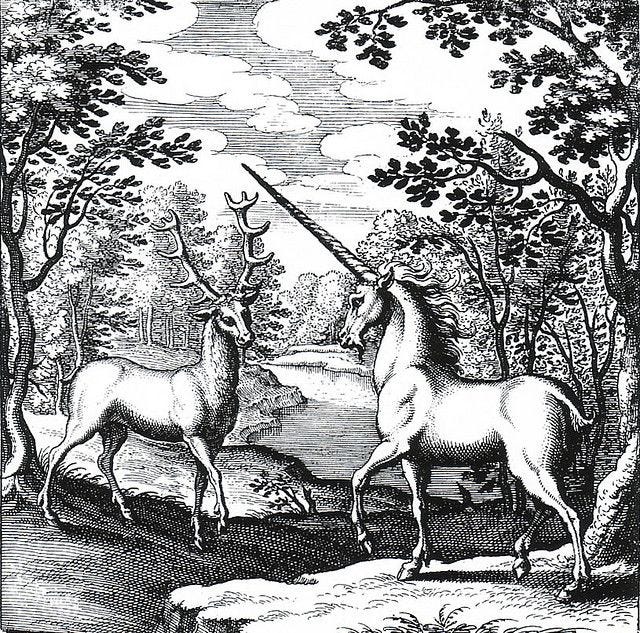 Bestiary Lucas Jennis Engraving Unicorn | Unicorn art, Bestiary, Mythical  creatures