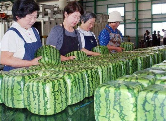 Ground Reality: Square watermelons! You must be crazy!!