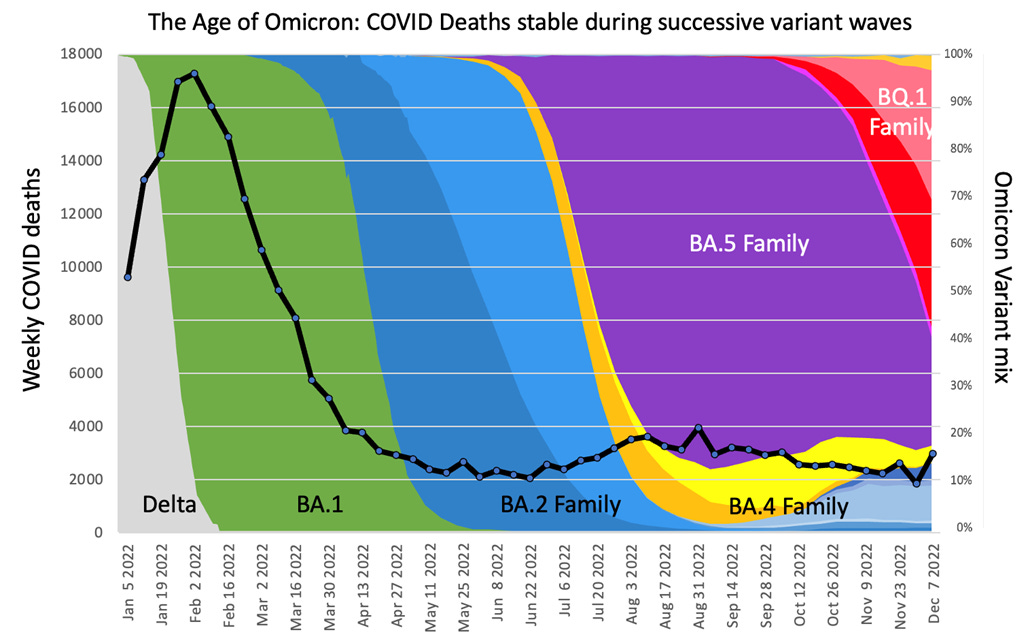 Chart showing weekly COVID deaths and relative dominance of SARS-CoV-2 variants in the US over time. Death rates for BA.2, BA.5, and BQ.1 / 1.1 remain stable.