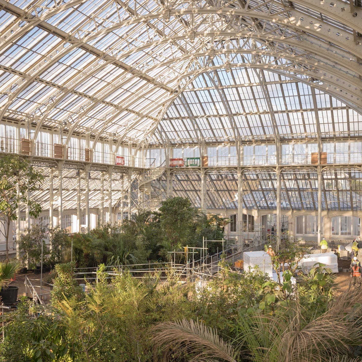 Kew Gardens' Temperate House to reopen after £41m restoration | Kew Gardens  | The Guardian
