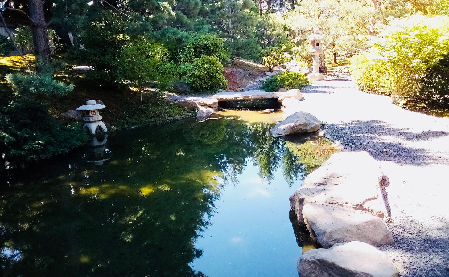 Reflection on pond in the sun.