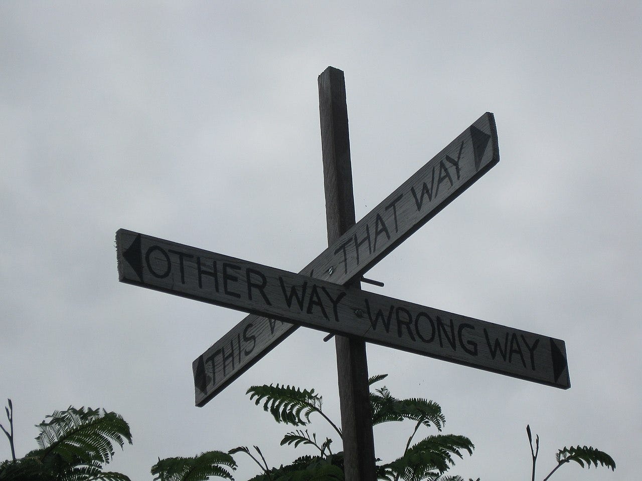 A directional sign with funny words, including this way, that way, the other way