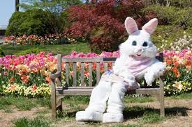 Why does the Easter bunny bring chocolate eggs and where did the idea come  from?