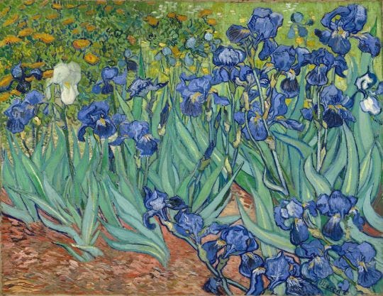 Irises, Vincent Van Gogh (1889)