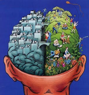 The Divided Brain