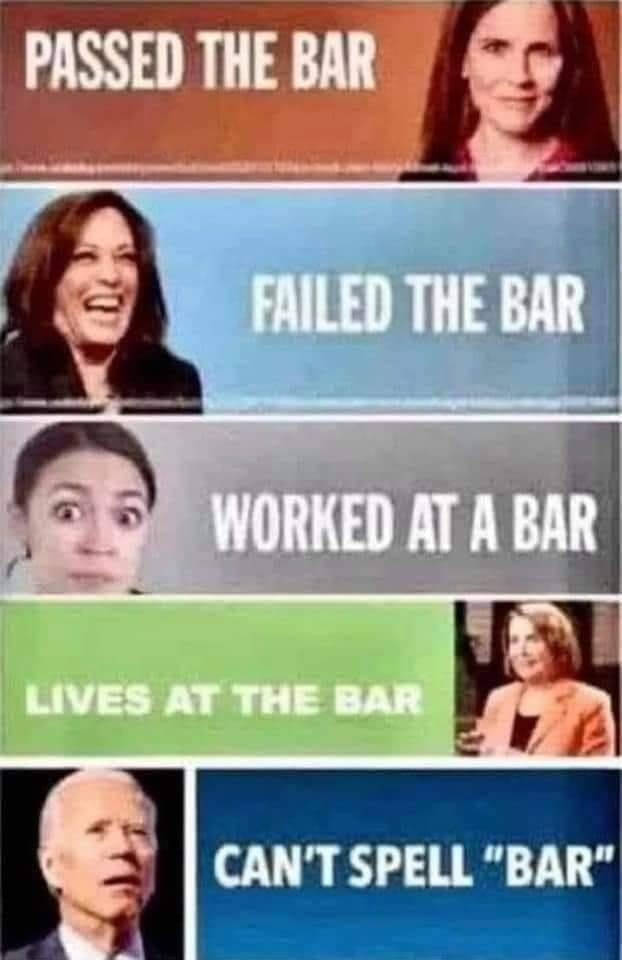 May be an image of 5 people and text that says 'PASSED THE BAR FAILED THE BAR WORKED AT A BAR LIVES AT AT THE BAR CAN'T SPELL "BAR"'