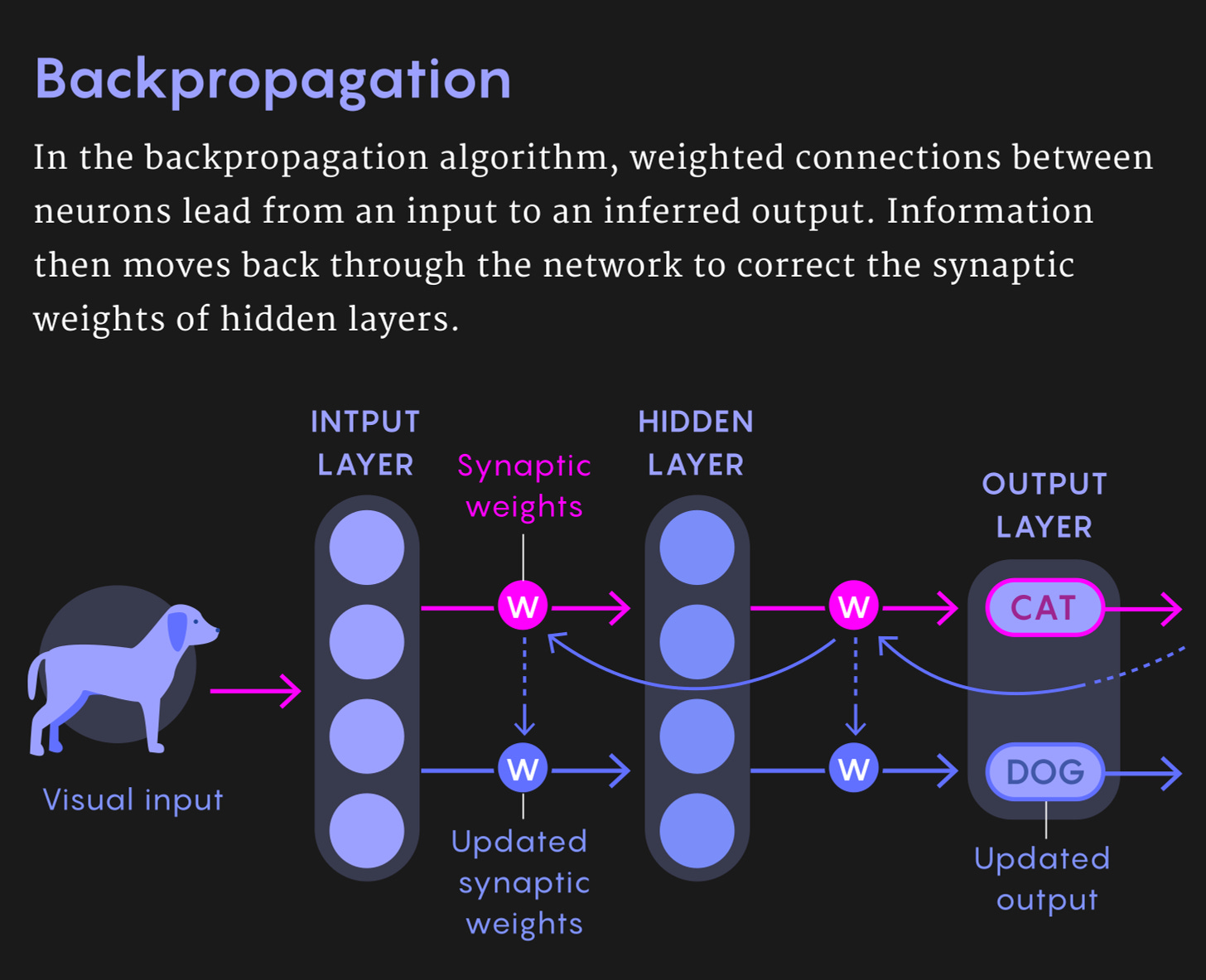 A figure showing how backpropagation allows deep networks to correct themselves.