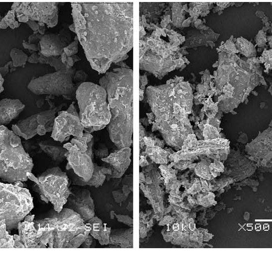 Scanning electron microscope images at 500× magnification: (a) sand;... |  Download Scientific Diagram