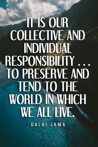 [Image description: in the background we can see clouds, a mountain, and a river. In white text in the middle of the picture there is a quote by Dalai Lama. It reads, “It is our collective and individual responsibility…to preserve and tend to the world in which we all live.”]. 