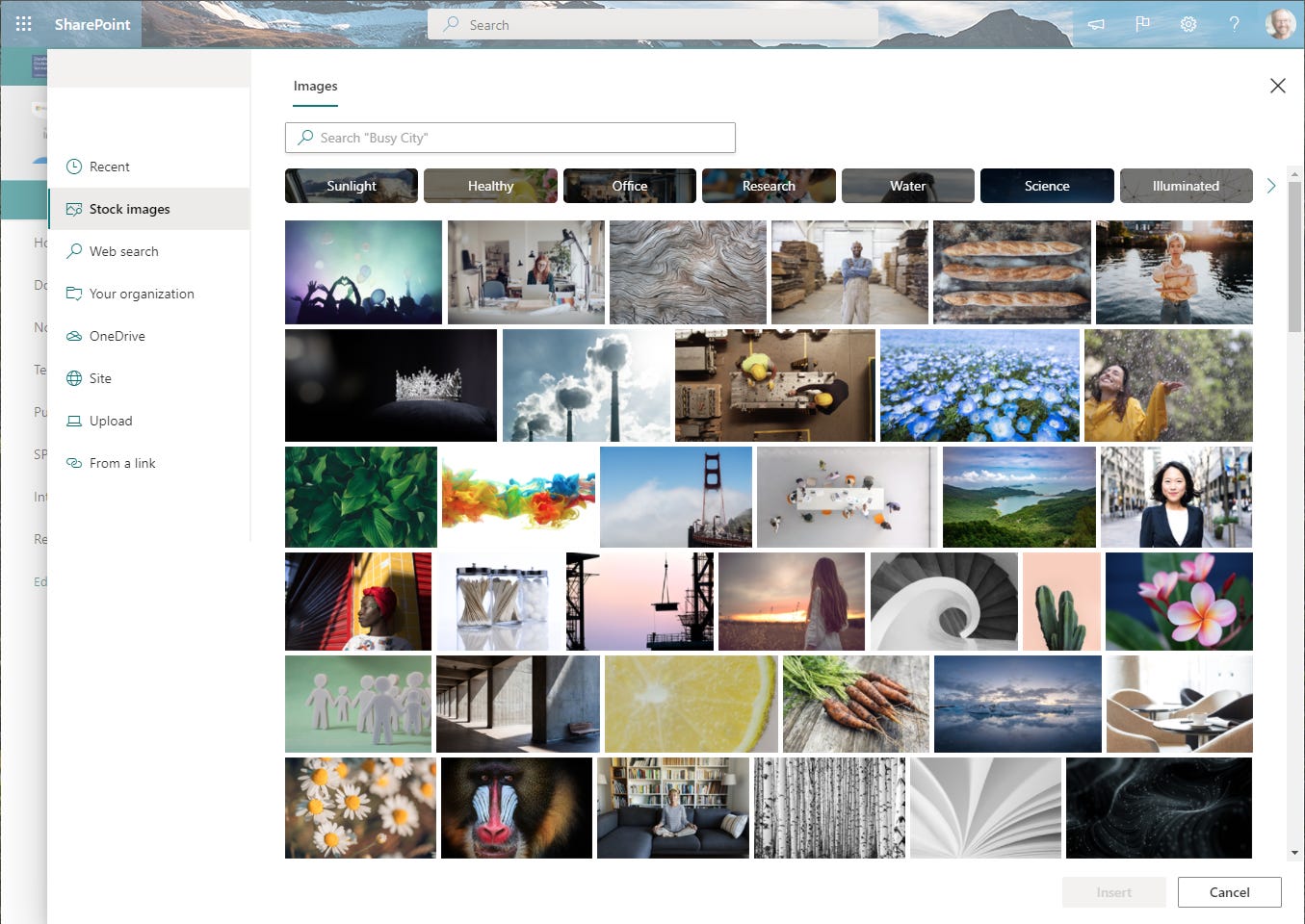 Use Stock images when adding photos to your SharePoint pages or news.